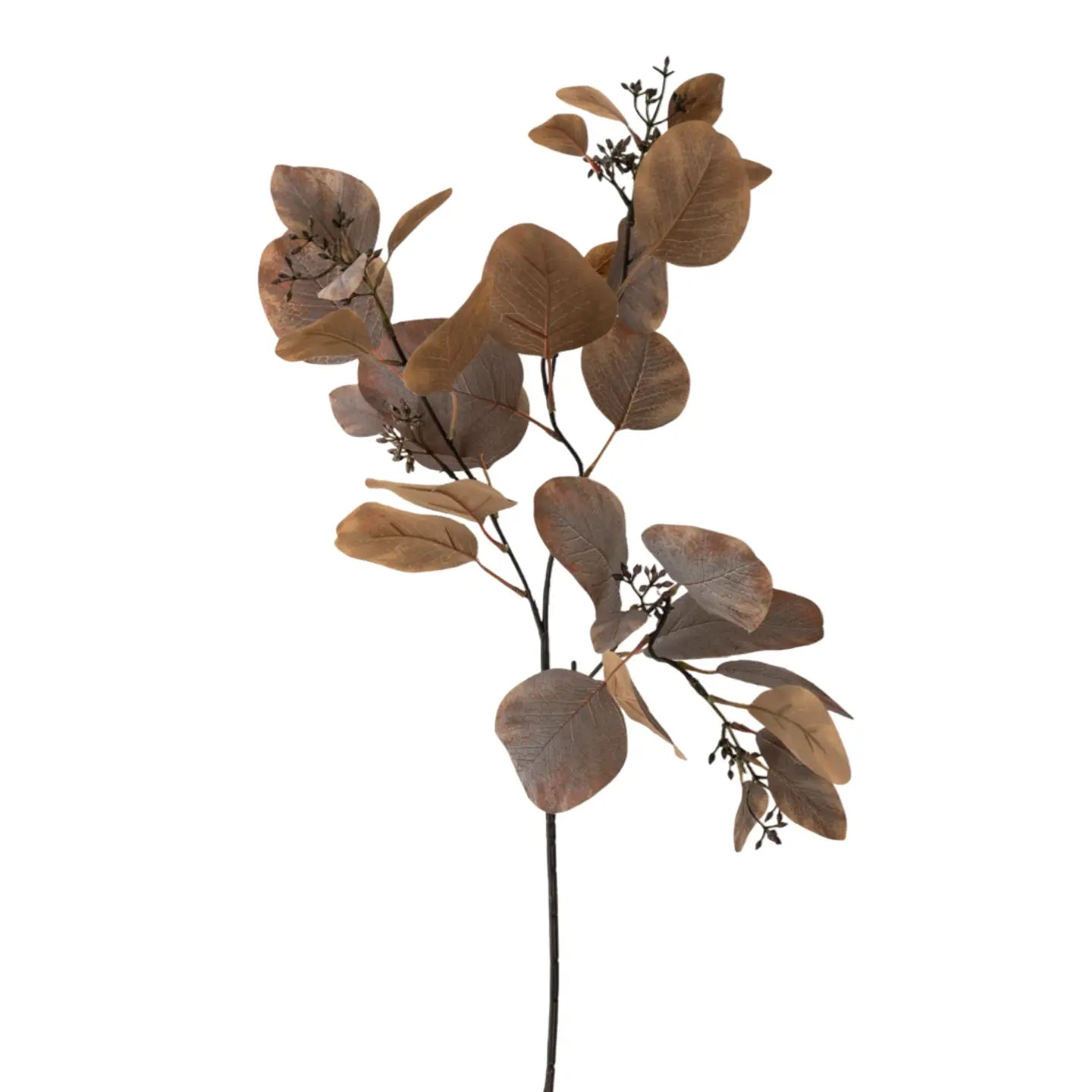 Eucalyptus 33" - Brown