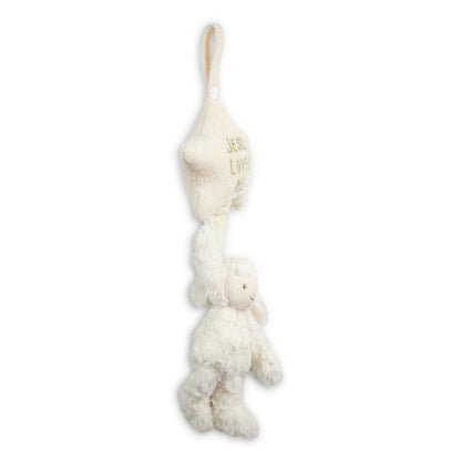Musical Pull Snuggle Toys