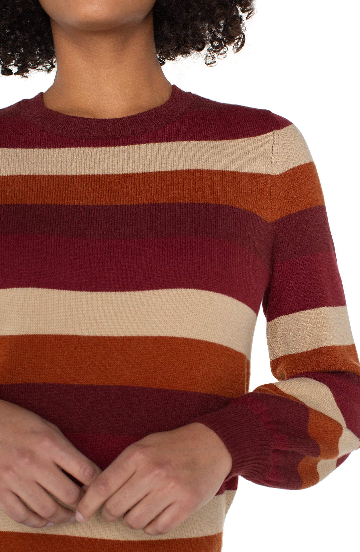 Longsleeve Striped Crew Neck Sweater ~ clearance no return