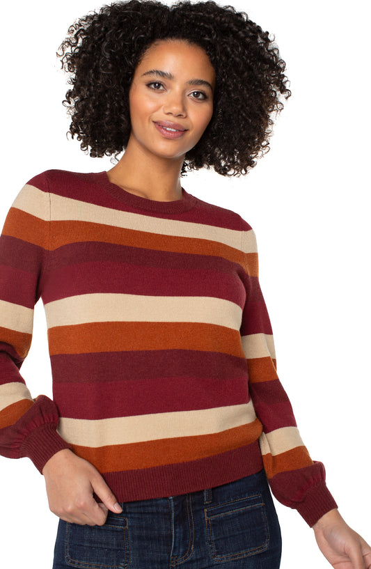 Longsleeve Striped Crew Neck Sweater ~ clearance no return