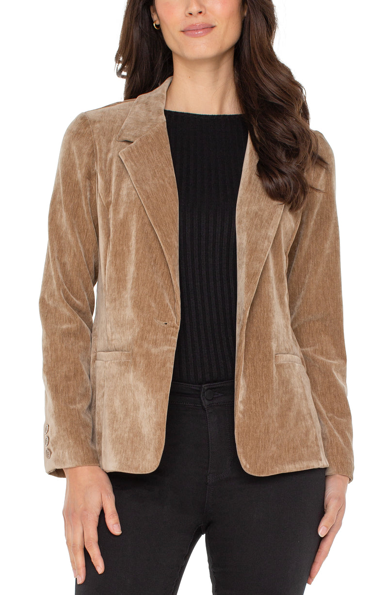 Fitted Velvet Blazer